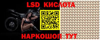 крисы Лесосибирск