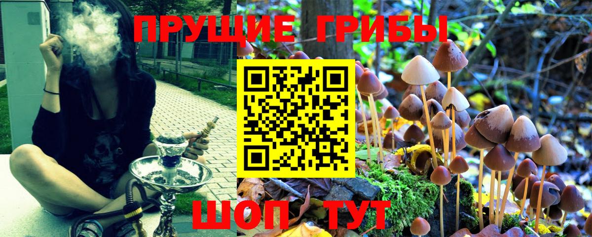 Псилоцибиновые грибы ЛСД Азов