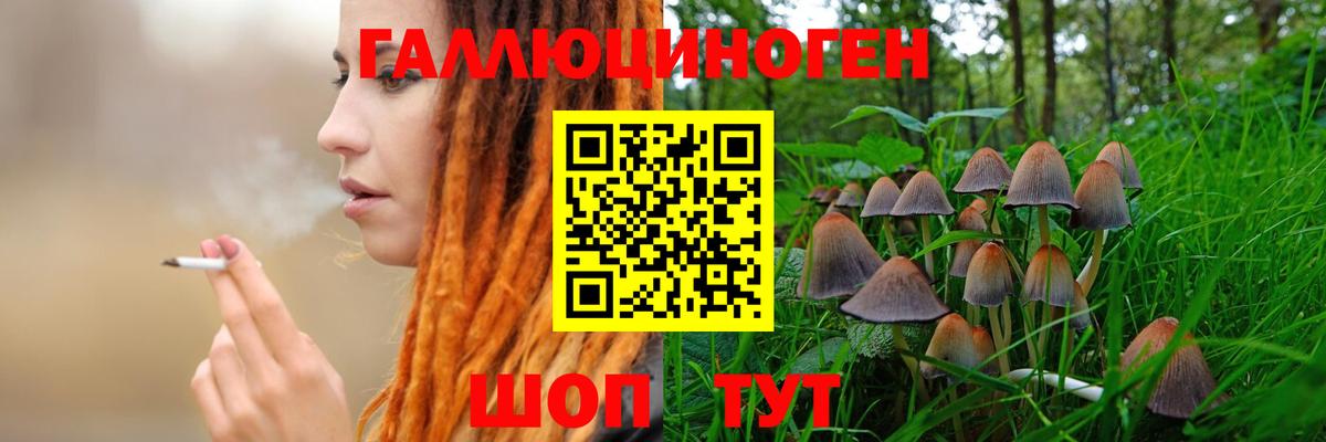 Псилоцибиновые грибы Cubensis  Вход с VPN  Азов 